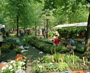 805806 Afbeelding van de bloemenmarkt op het Janskerkhof te Utrecht.